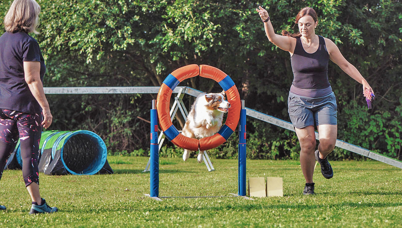 Agility Impression 3