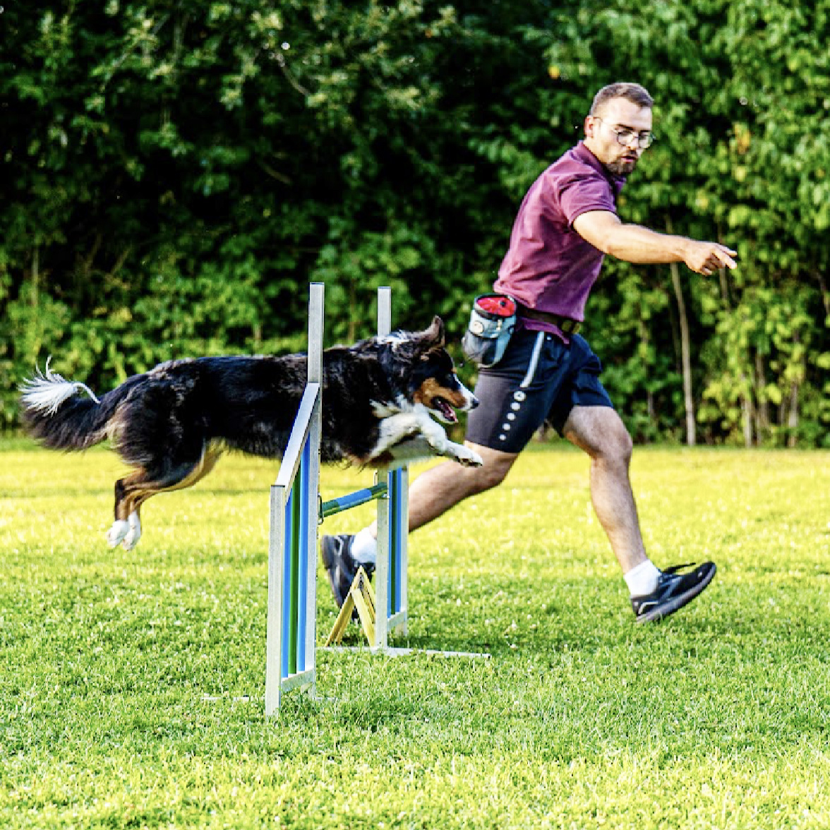 Agility Impression 4